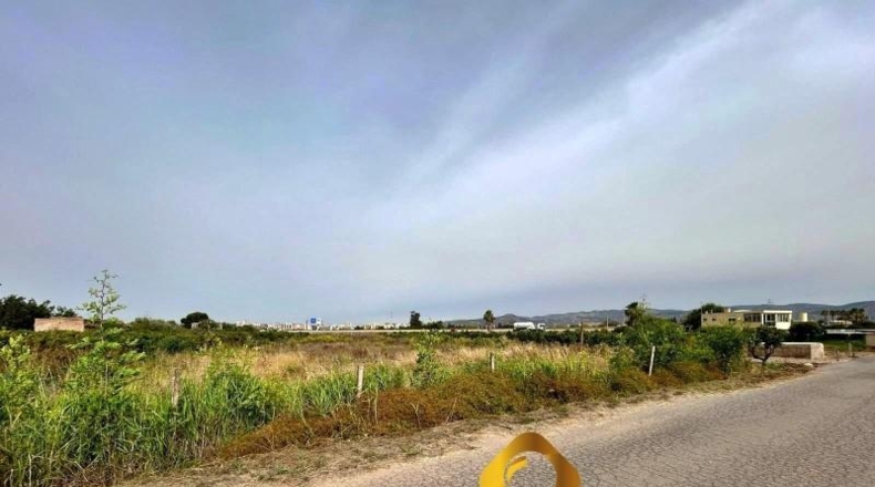 Castellon - Castellón de la Plana - 1400m2