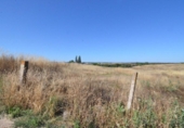 Terreny no urbanitzable en venda a la España, Almenara de Tormes, ref.: TR165466 foto