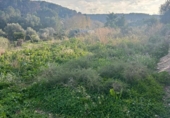 Terreno no urbanizable en venta en la España, La Nucia, ref: TR228005 foto