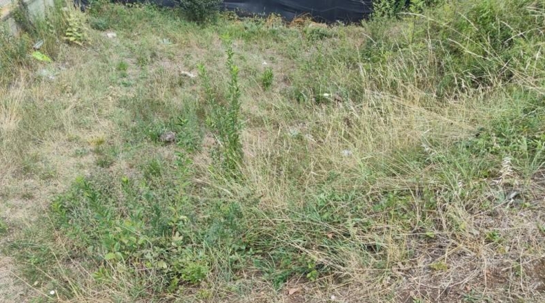 Gerona - Olot - 200m2