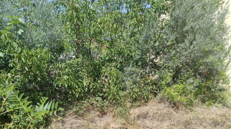 Gerona - Olot - 200m2
