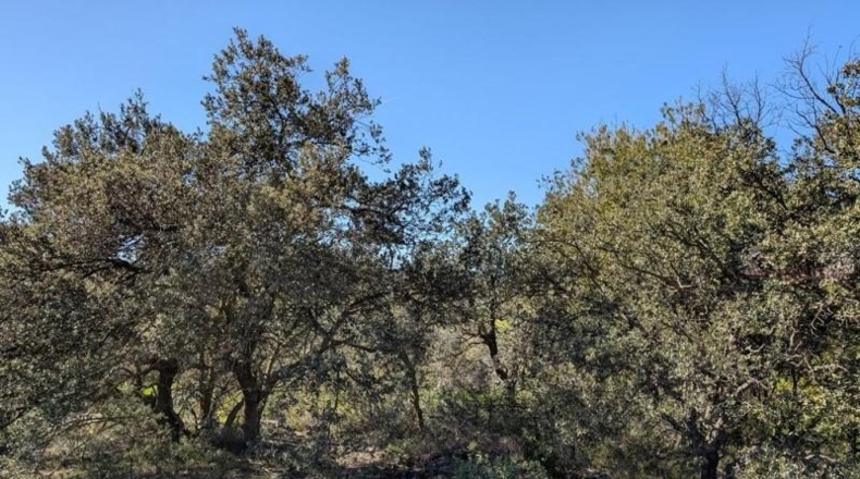 Teruel - Queretes - 80m2