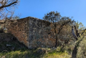 Foto 14