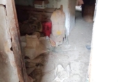 Village house for sale on España, Fórnoles, ref: TR299924 photo