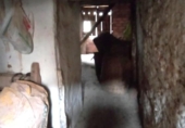 Village house for sale on España, Fórnoles, ref: TR299924 photo
