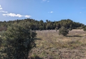 Terreno no urbanizable en venta en la España, Arens de Lledó, ref: TR337479 foto