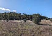 Terreno no urbanizable en venta en la España, Arens de Lledó, ref: TR337479 foto
