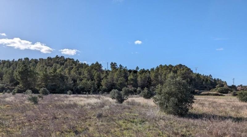 Teruel - Arens de Lledó - 14487m2