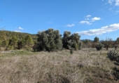 Terreno no urbanizable en venta en la España, Arens de Lledó, ref: TR337479 foto