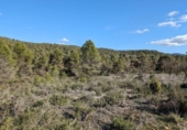 Terreno no urbanizable en venta en la España, Arens de Lledó, ref: TR337479 foto