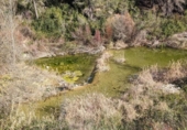 Terreno no urbanizable en venta en la España, Arens de Lledó, ref: TR337479 foto
