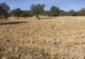 Terreno no urbanizable en venta en la España, Almansa, ref: TR128772 foto