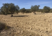 Terreno no urbanizable en venta en la España, Almansa, ref: TR128772 foto