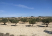 Terreno no urbanizable en venta en la España, Almansa, ref: TR128772 foto