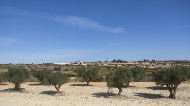 Albacete - Almansa - 15000m2