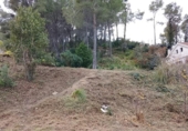 Terreno no urbanizable en venta en la España, Sant Pere de Ribes, ref: TR311134 foto