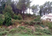 Terreno no urbanizable en venta en la España, Sant Pere de Ribes, ref: TR311134 foto