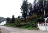 Terreno no urbanizable en venta en la España, Sant Pere de Ribes, ref: TR311134 foto
