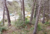 Terreno no urbanizable en venta en la España, Sant Pere de Ribes, ref: TR311134 foto