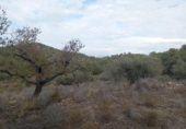 Terreno no urbanizable en venta en la España, Benissanet, ref: TR351082 foto