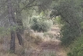 Foto 13