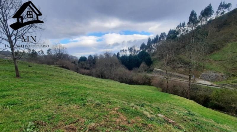 Cantabria - Villafufre - 1599m2