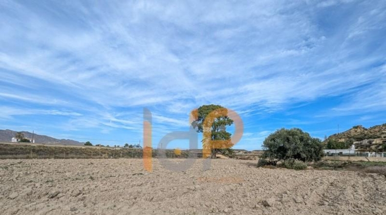 Almeria - Cuevas del Almanzora - 3387m2