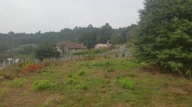 Orense - Barbadás - 1290m2