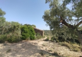 Chalet independiente con terreno en venta en la España, Calaceite, ref: TR353413 foto