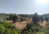 Chalet independiente con terreno en venta en la España, Calaceite, ref: TR353413 foto