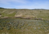 Terreno no urbanizable en venta en la España, El Molar, ref: TR357095 foto