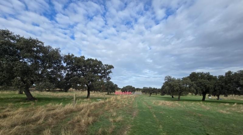 Córdoba - Torrecampo - 53151m2