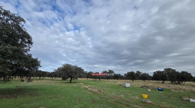 Córdoba - Torrecampo - 53151m2