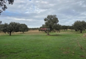 Xalet independent amb terreny en venda a la España, Pedroche, ref.: TR398653 foto