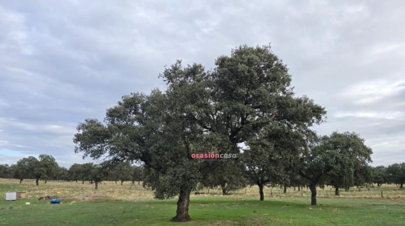 Córdoba - Torrecampo - 53151m2