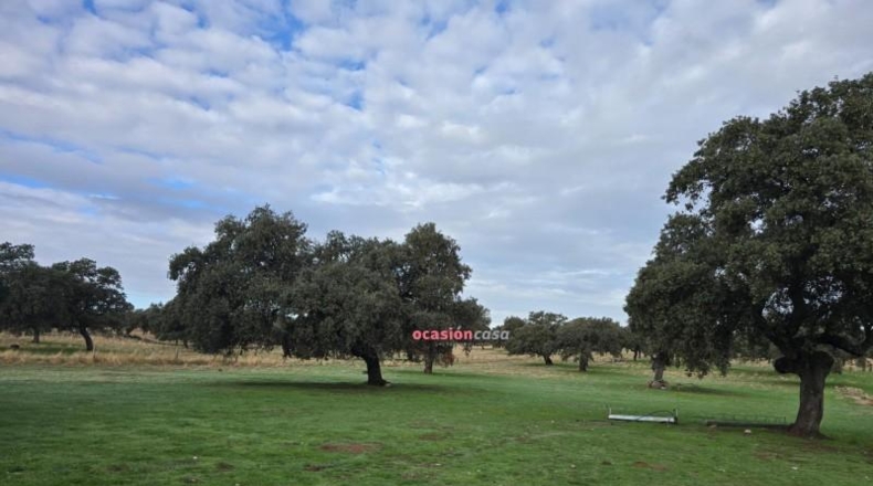 Córdoba - Torrecampo - 53151m2