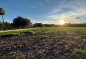 Terreno no urbanizable en venta en la España, Sant Joan, ref: TR359227 foto