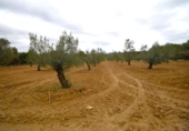 Terreno no urbanizable en venta en la España, Muro, ref: TR237276 foto