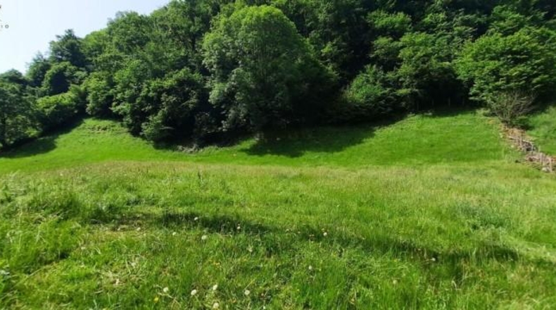 Cantabria - Vega de Pas - 6000m2