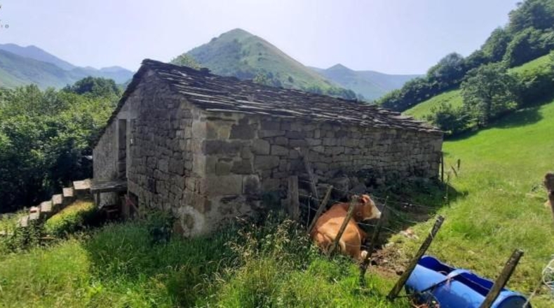 Cantabria - Vega de Pas - 6000m2