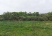 Terreno no urbanizable en venta en la España, Torrecaballeros, ref: TR405749 foto