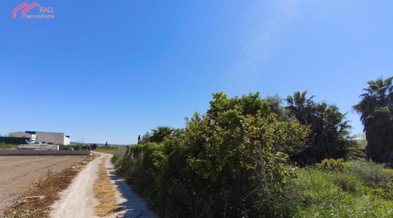 Murcia - Santomera - 1227m2
