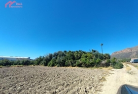 Santomera 1227&nbsp;m²