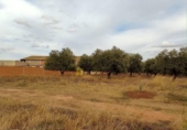 Terreny no urbanitzable en venda a la España, Arnedo, ref.: TR133843 foto