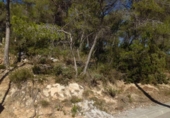 Suelo urbano en venta en la España, Olivella, ref: TR113762 foto