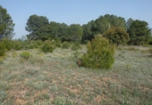 Terreno no urbanizable en venta en la España, Madrid, ref: TR397846 foto