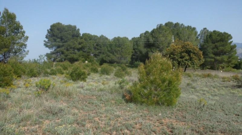Valencia - Onteniente - 7900m2