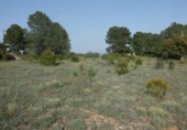 Terreno no urbanizable en venta en la España, Madrid, ref: TR397846 foto