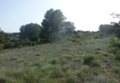 Terreno no urbanizable en venta en la España, Madrid, ref: TR397846 foto