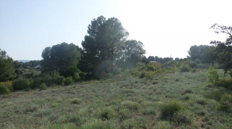 Valencia - Onteniente - 7900m2